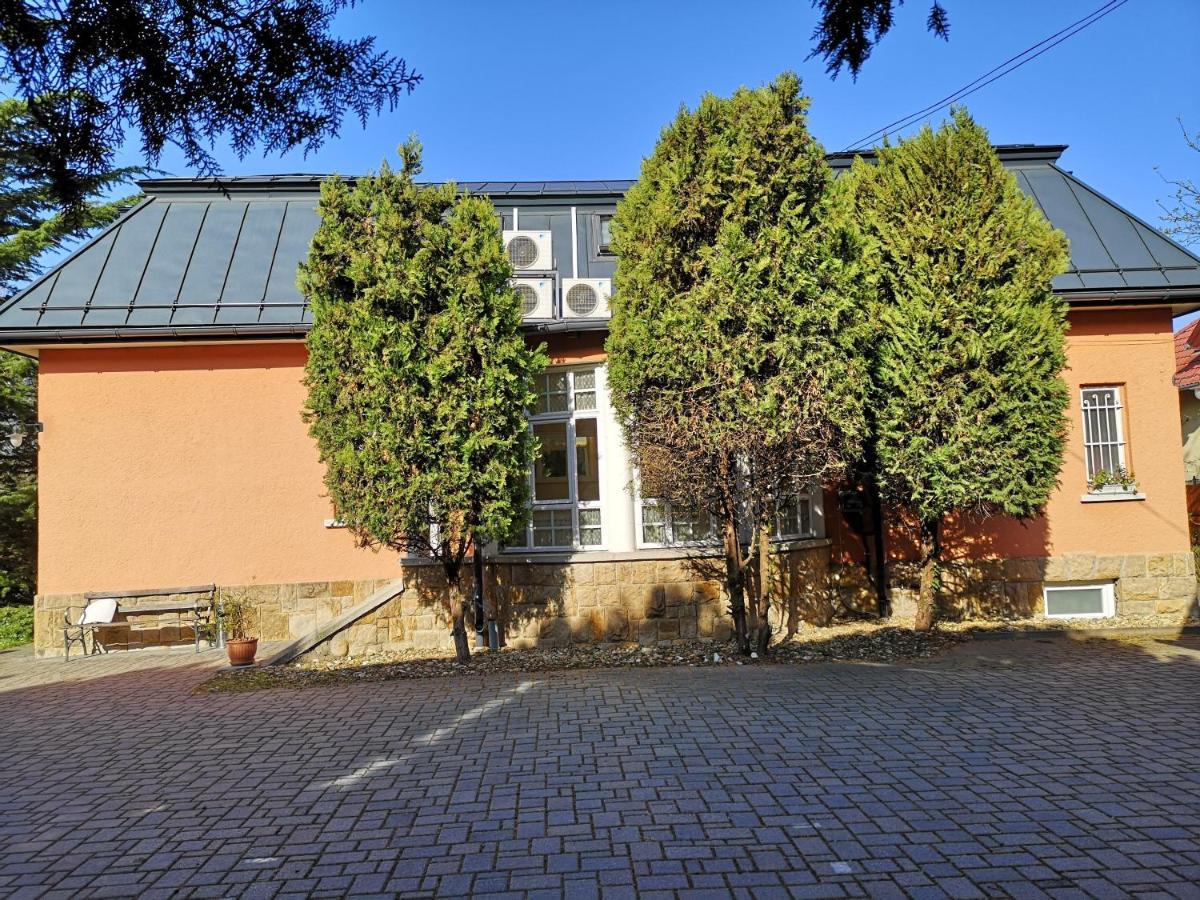 Kikelet Villa 多瑙凯西 外观 照片